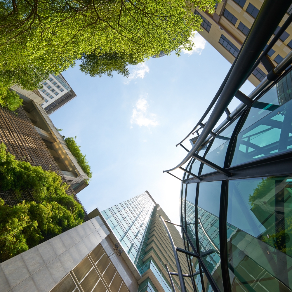 Keltie partners with Eco Ventures Counsel