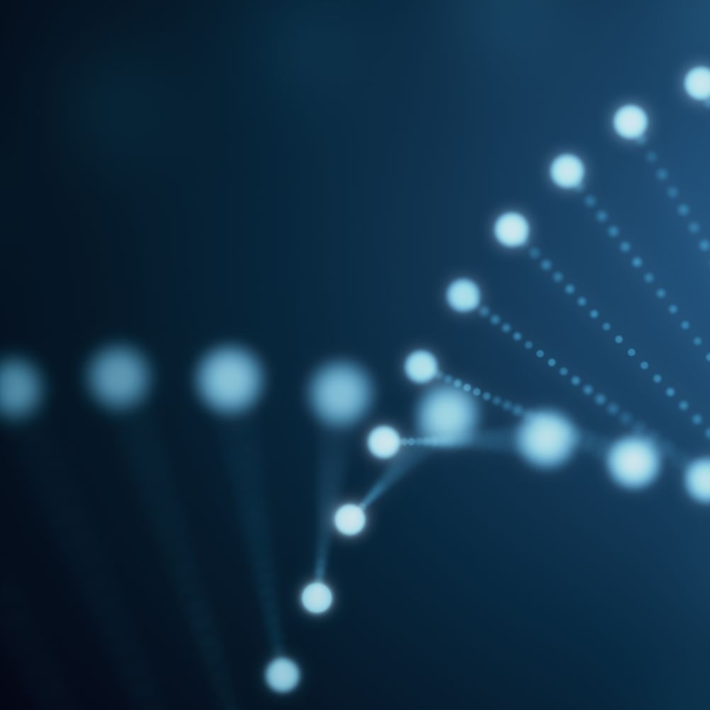 Scientists Complete The Human Genome Sequence