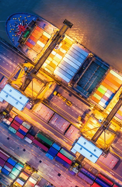 Customs Protection and Enforcement